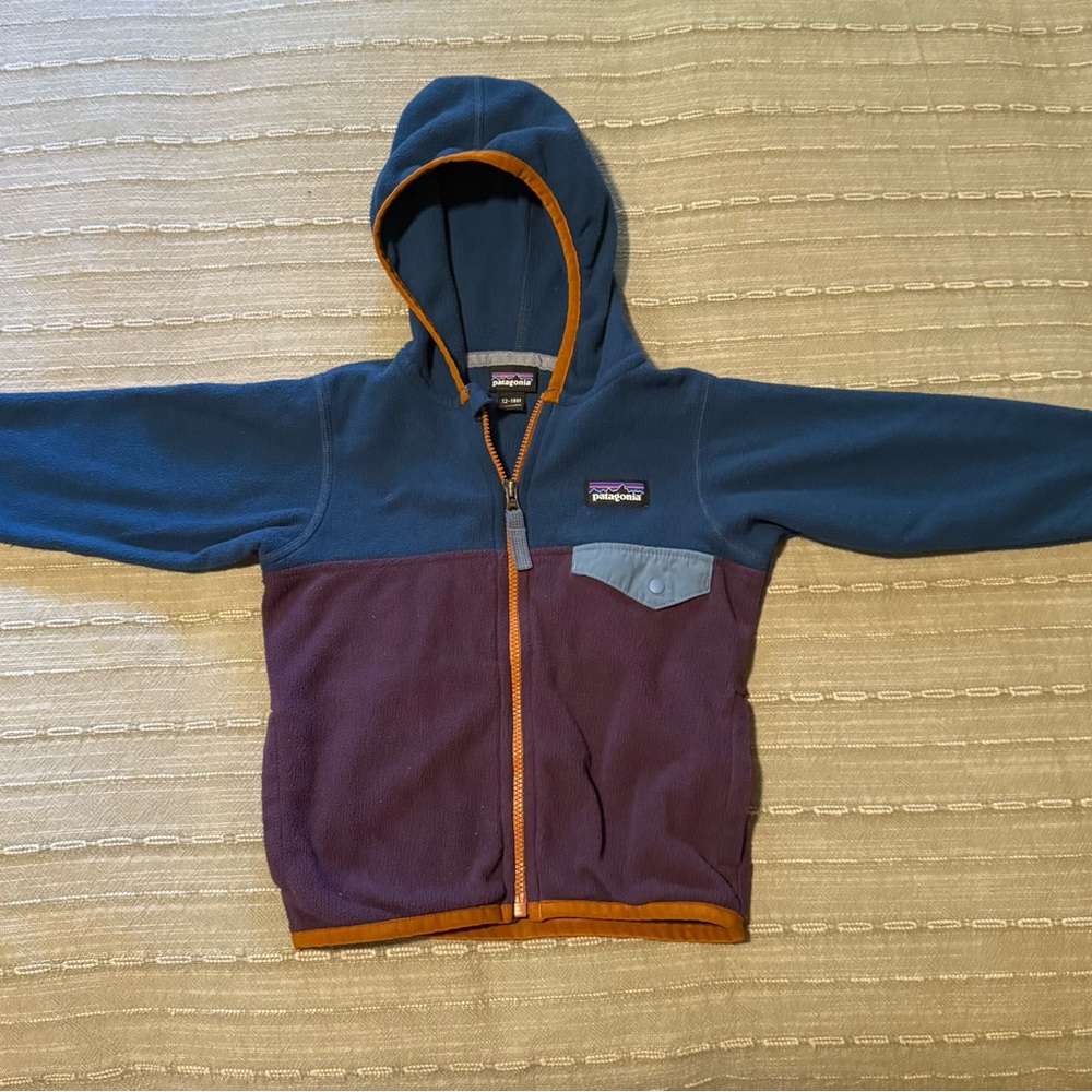 Patagonia Blue and Purple Fleece Hoodie